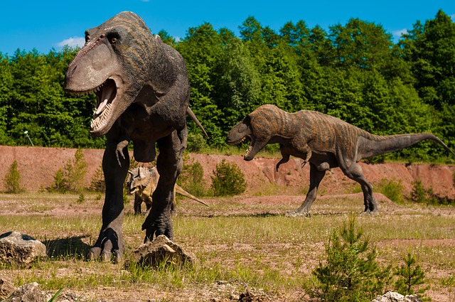 Tyranosaurus Rex